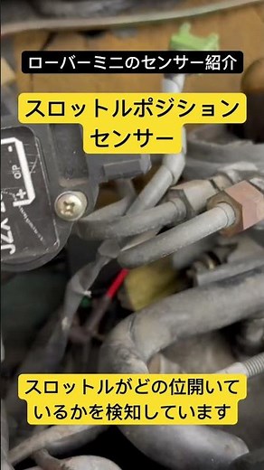 ローバーミニのセンサー紹介 スロットルポジションセンサー
