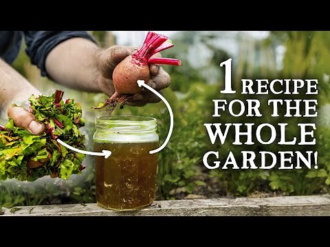 EASY Low-Cost Plant Feed to Boost Crop Yields & Health