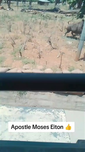 Apostle Moses Eiton: Celebrating Turkana Gospel Music