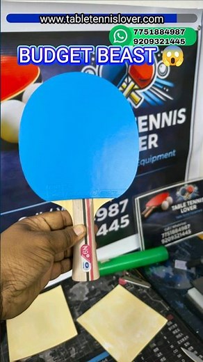 🛡️ Smart Defense Ready Bat 😮 Yinhe N9 + Andro Good + DHS Long Pips 🏓