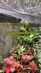 Garden Hack Idea: Garden Net Shade: To protect plants direct from sunlight. #gardenhacks #GardenNet #plantprotection #PlantLove #gardenlife #pageviralreels | Tithas Garden Life