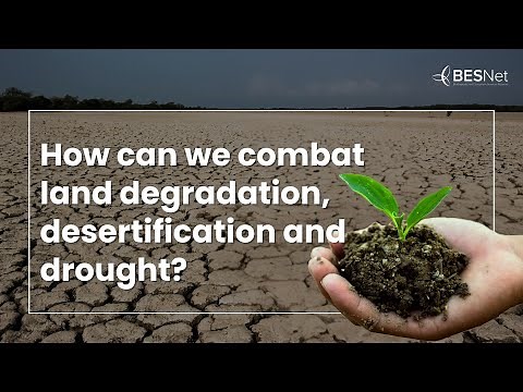 How Can We Combat Land Degradation, Desertification and Drought?