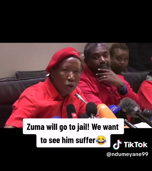 Zuma's Court Judgment: Consequences for All