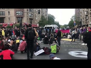 Extinction Rebellion protestiert in Berlin