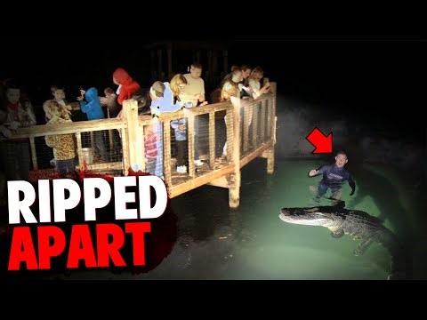 This Man Goes Swimming At Night & Gets RIPPED APART By Alligator!