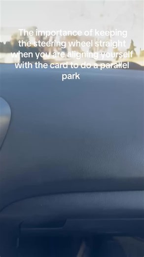 lucy on Instagram: "The importance of keeping the steering wheel straight when you are aligning yourself with the card to do a parallel park"