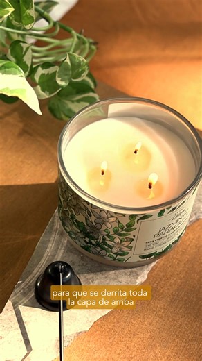 Velas Rilape on Instagram: "Encender una vela es más que un gesto, es un pequeño ritual. ✨ 1. Antes de cada encendido, cortá la mecha dejando 0.5 cm, asi evitas el humo negro y una combustion ineficiente. 2. Dejala arder hasta que se derrita toda la primera capa, siempre. 3. Y para apagarla correctamente la vela usá la tapa de la vela o un apagavelas. Siguiendo estos tips te aseguras de prolongar la vida y el aroma de tu vela favorita! 🕯 Cuidá tus velas, disfrutá el ritual."