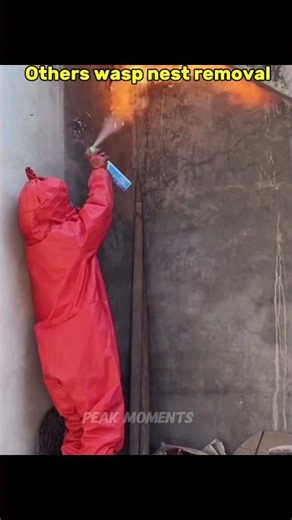 Wasp Nest Removal ❌ Then Everything Went Wrong 😳 ⭐