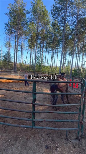 Biggest accomplishment this year was changing this guy from a problem horse after being tossed around seven times into a whole different horse #keephustling #vibing #betteroff #november #peoplesuck