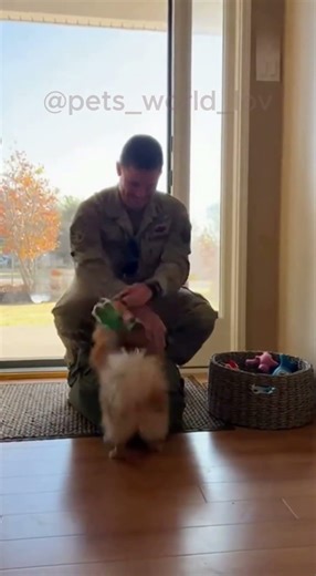 🐾😭 Tiny Dog Big Hug