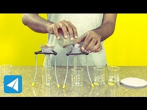 Absorption by sand and soil | Types of soil | Biology