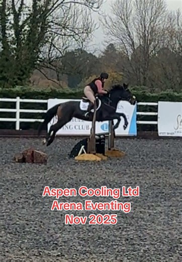 Had a wobble (me, not Annie) in the warm up and wanted to go home but she held my hand the whole way through 🥹 #horsesoftiktoktok #equestrianlife #xc #showjumping #younghorse