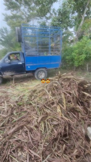 @j🧔‍♂️ compa