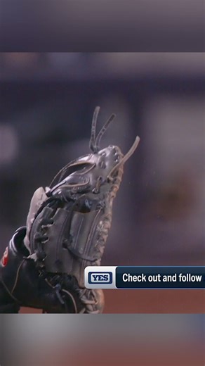 Catch it if you can 👀 | MLB