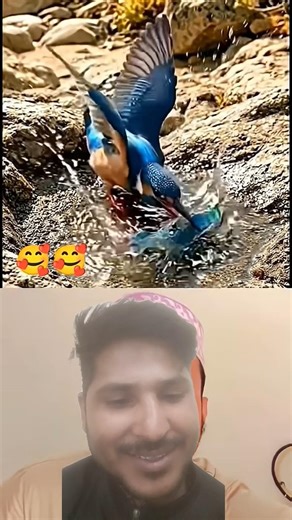 #original