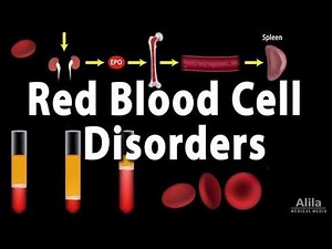 Disorders Of Red Blood Cells| Anemia , Polycythemia | #anemia #polycythemiavera