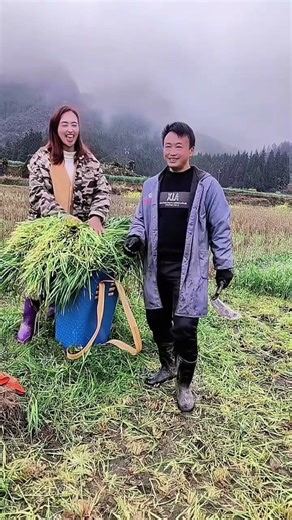 Leader junshuai electrical appliances, you are the leader of lazy people’s lives, rural 😎 P29