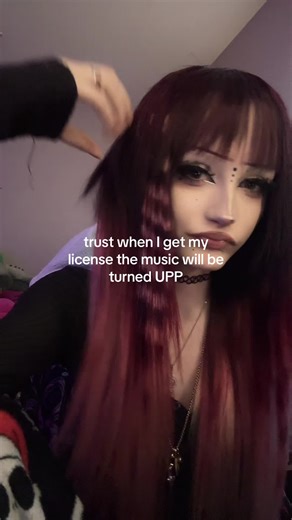 Getting My Driver's License: The Countdown Begins