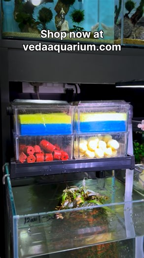 veda aquarium (estd. 2002) on Instagram: "Introducing a new filtration system Brand: Bluepet Model: BL D4, BL D6, BL D8, BL D10 A sump filtration module having dripping system. Suitable for tanks from 1.5 feet to 4 feet Please visit our online store for prices 🌐 - Shop products in vedaaquarium.com Follow our page based on your preferred languages For kannada : @veda_aquarium For tamil : @veda_aquarium_tamil For telugu : @veda_aquarium_telugu For hindi : @veda_aquarium_hindi For English: @veda_a