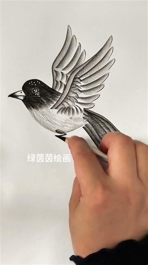 Draw a realistic bird the easy way #RealLifeSharingPlan #EasyBirdDrawing #LetsLearnToDraw #3DDraw...