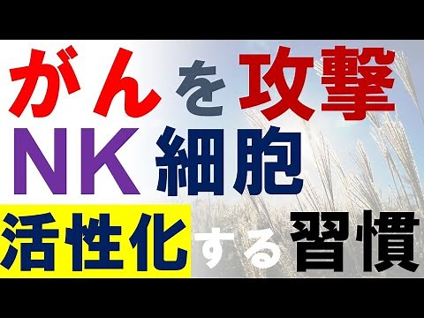 がんを攻撃するナチュラルキラー細胞（NK細胞）の活性を高める生活習慣