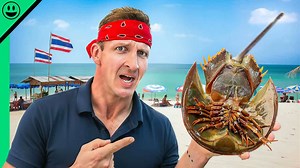 From ocean to street grill - Thailand’s fresh seafood markets