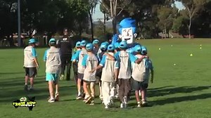 22K views · 297 reactions | Have you got a young Striker or Scorpion...