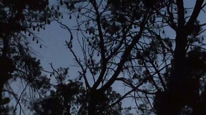 ABC Adelaide on Reels