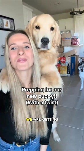 61K views · 2.7K reactions | Setting up early so the boys can get used to the setup! If anyone wants to donate additional items with us, we have an Amazon wishlist in our bio — we’ll be accepting until March 29th (dropping off March 30th) #~ | Imbluethehusky | Facebook