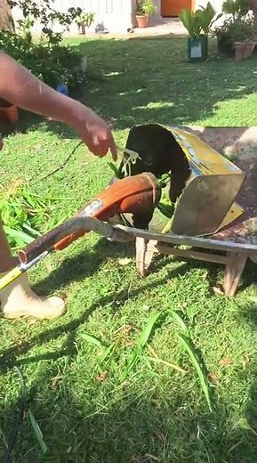 Making silage with a brush cutter