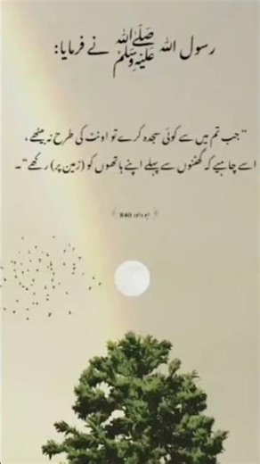 hadees pak #shorts #unfrezzmyaccount #islam #hadees