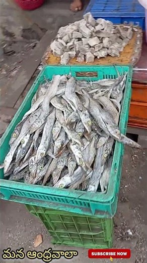 :🐟 Andhra Fish Market Lo Crazy Scene! 🔥 Fresh Fish Deals 😱 | Mana Andhrawala