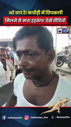 #viral कचौड़ी की सब्ज़ी में निकली छिपकली, मचा बवाल! देखें वायरल वीडियो #shorts