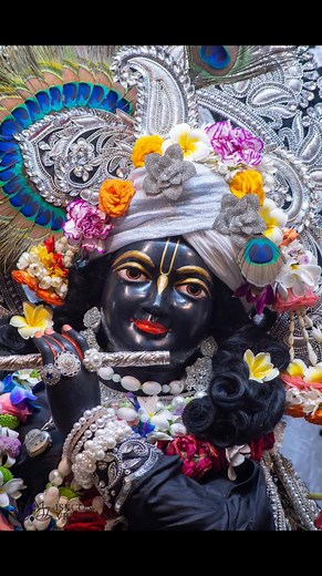 19K views · 2K reactions | Hare Krishna 杖 gd evening | Guru Govind | Facebook