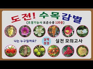 도전! 수목감별, 수목감별 120, 수종구별, 조경기능사, 산림기능사, 실기시험, 수목감별 모의고사, 나무공부, 나무의사