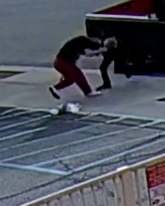 Woman caught on camera stealing puppy, attacking owner