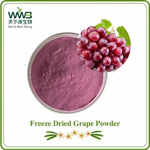 [Hot Item] Hunan World Well-Being Natural Freeze Dried Grape Powder