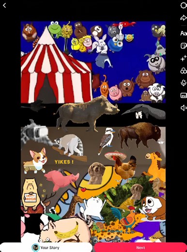 #animals
