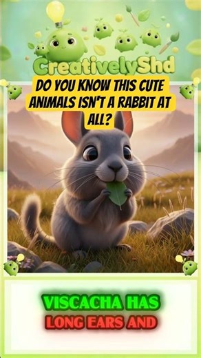 Do you know this cute animal isn’t a rabbit?