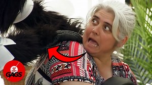 181K views · 4.9K reactions | She didn't get any massage since that... | Just For Laughs Gags | Facebook