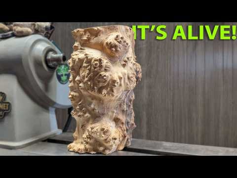 This Burl Shouldn’t Exist – So much can go wrong!