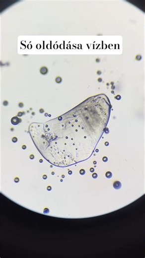 Só oldódása a vízben #só #mikroszkóp #salt