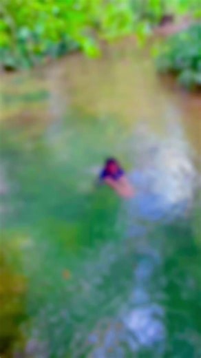 Sandu 🌸🦋 (@sandu_mapa) - Exploring Beautiful Nature in Sri Lanka