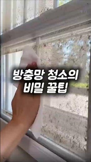 청소업체 사장님이 알려준 방충망 청소 꿀팁!