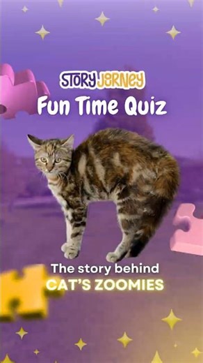 😼 Why Do Cats Get the Zoomies?! Especially Orange Cats?! | Cat Facts