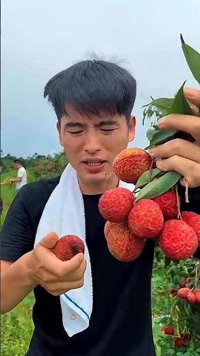 China's Giant Seedless Lychees | Bigger Than an Egg? Amazing Farming Facts
