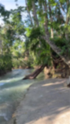 Experience the Vibes of Jamaican Culture