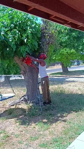 crazy stacy (@crazy.stacy84)’s videos with original sound - crazy stacy