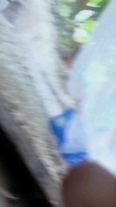 550K views · 9.9K reactions | RAPSTAR #JEC | JEC | Facebook