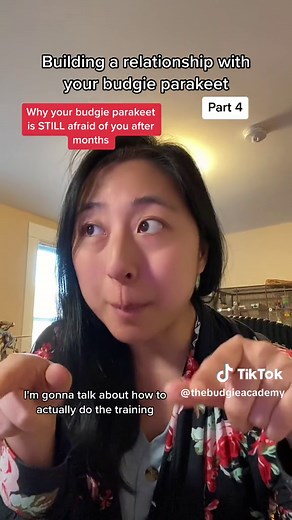 Amy Zhao | Budgie Specialist on TikTok